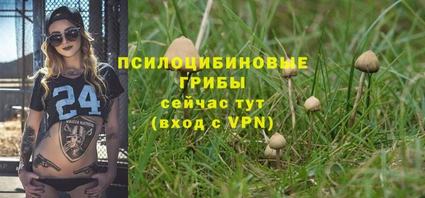 ГАЛЛЮЦИНОГЕННЫЕ ГРИБЫ Верхний Тагил