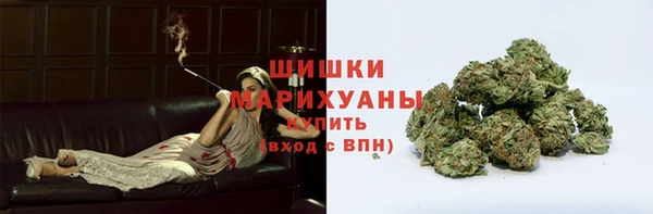 ГАЛЛЮЦИНОГЕННЫЕ ГРИБЫ Верхний Тагил