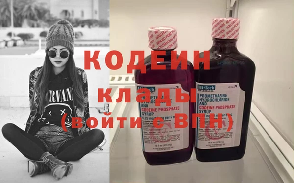 мдпв Ельня